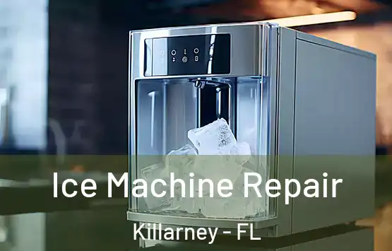  Ice Machine Repair Killarney - FL