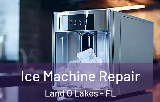  Ice Machine Repair Land O Lakes - FL