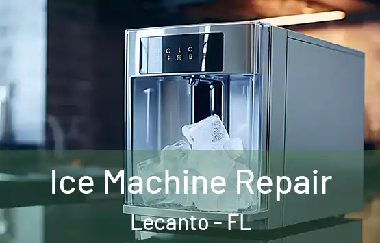  Ice Machine Repair Lecanto - FL