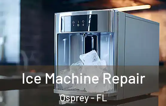  Ice Machine Repair Osprey - FL