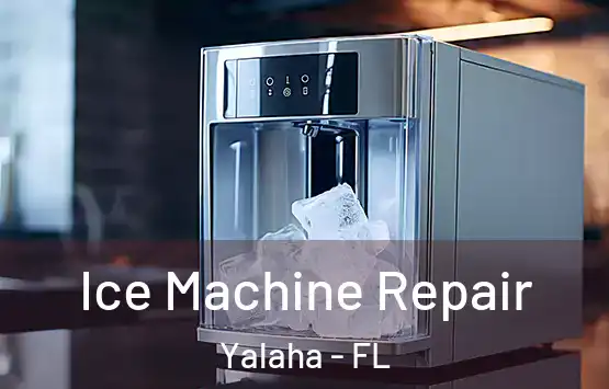 Ice Machine Repair Yalaha - FL