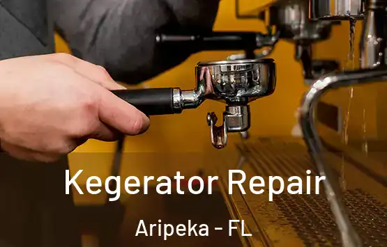  Kegerator Repair Aripeka - FL