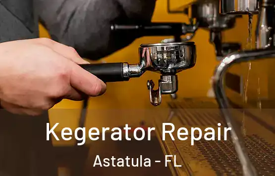  Kegerator Repair Astatula - FL