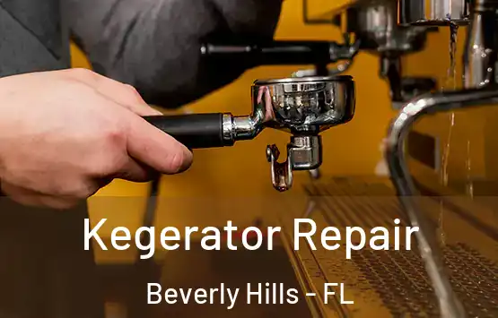  Kegerator Repair Beverly Hills - FL