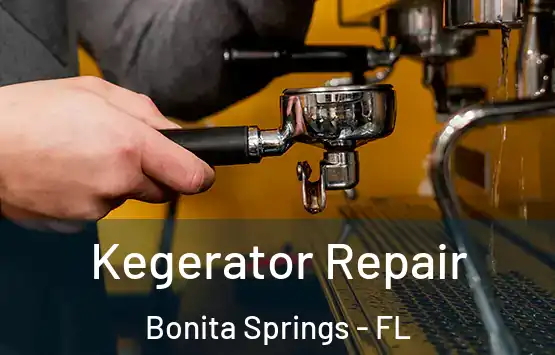  Kegerator Repair Bonita Springs - FL