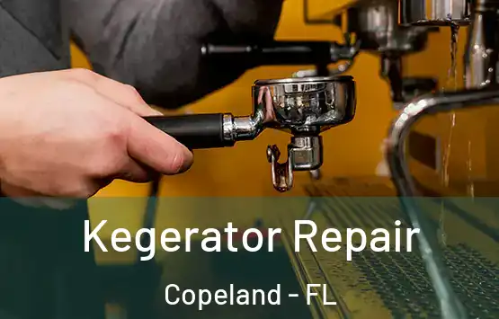  Kegerator Repair Copeland - FL