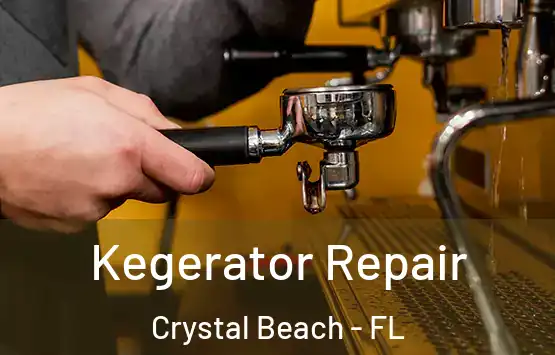  Kegerator Repair Crystal Beach - FL