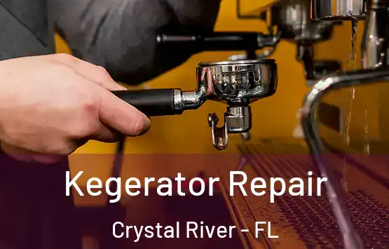  Kegerator Repair Crystal River - FL