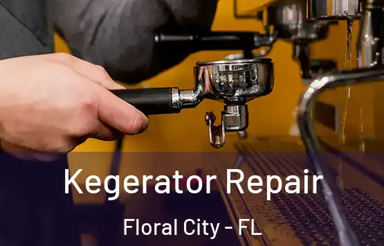  Kegerator Repair Floral City - FL
