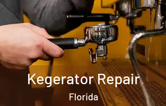  Kegerator Repair Florida