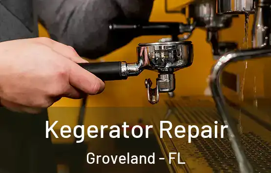  Kegerator Repair Groveland - FL