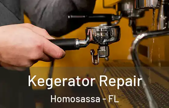  Kegerator Repair Homosassa - FL