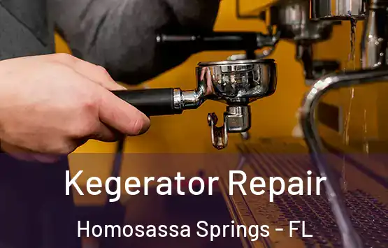  Kegerator Repair Homosassa Springs - FL