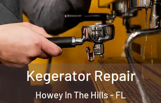  Kegerator Repair Howey In The Hills - FL