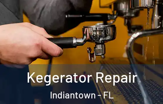  Kegerator Repair Indiantown - FL