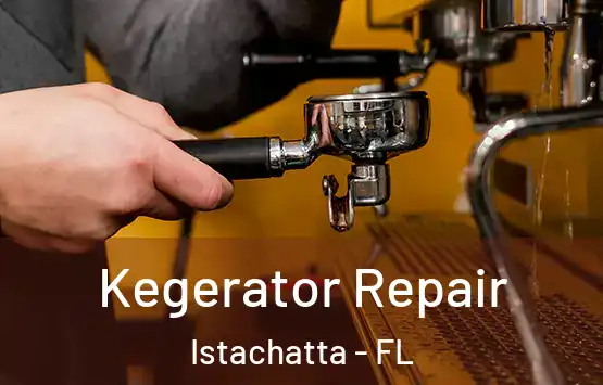  Kegerator Repair Istachatta - FL