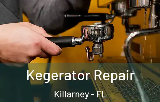  Kegerator Repair Killarney - FL