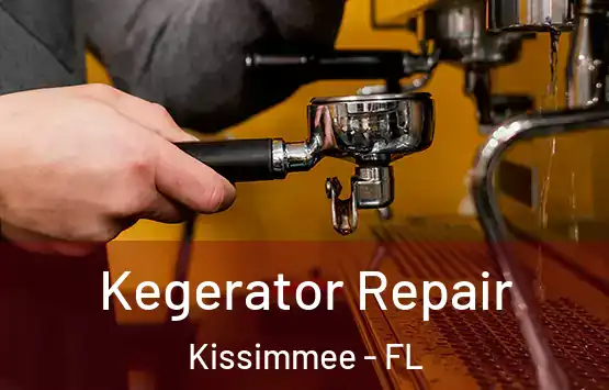  Kegerator Repair Kissimmee - FL