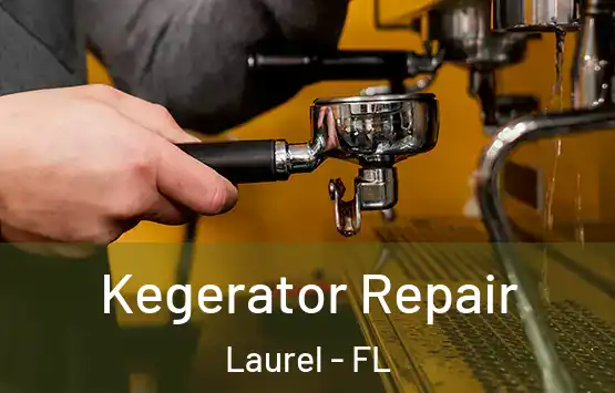  Kegerator Repair Laurel - FL