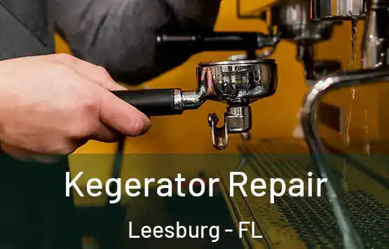  Kegerator Repair Leesburg - FL