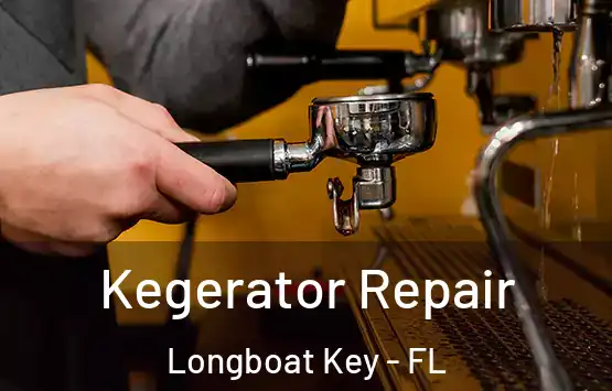  Kegerator Repair Longboat Key - FL