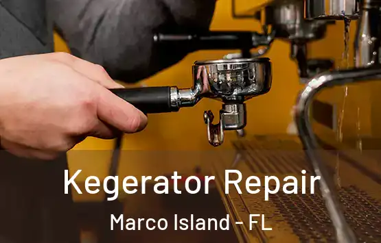  Kegerator Repair Marco Island - FL