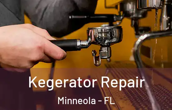  Kegerator Repair Minneola - FL
