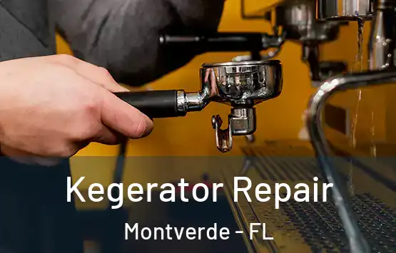  Kegerator Repair Montverde - FL