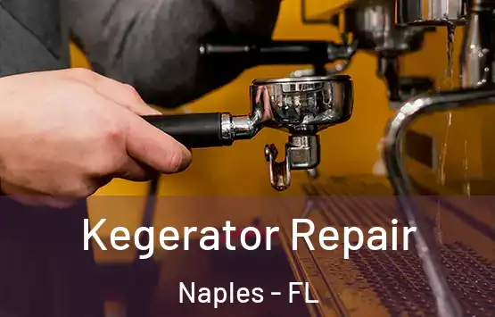  Kegerator Repair Naples - FL