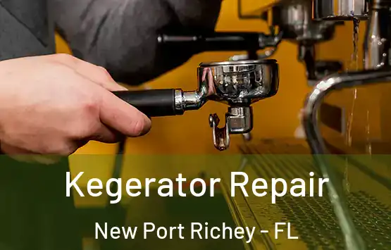  Kegerator Repair New Port Richey - FL