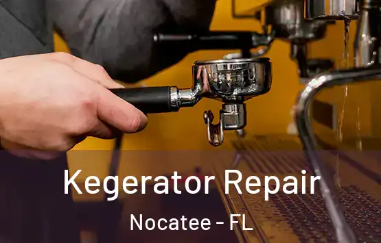  Kegerator Repair Nocatee - FL