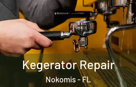  Kegerator Repair Nokomis - FL