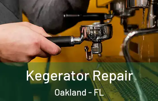  Kegerator Repair Oakland - FL