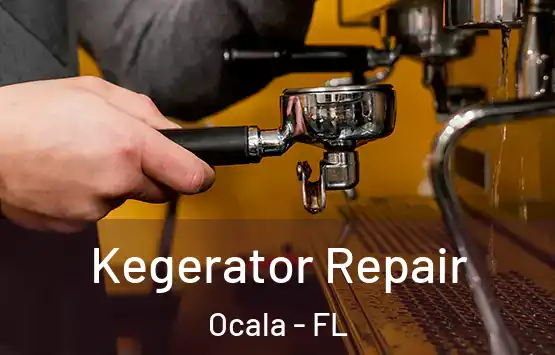  Kegerator Repair Ocala - FL