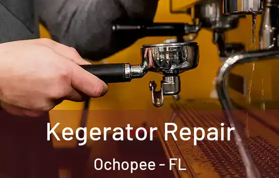  Kegerator Repair Ochopee - FL