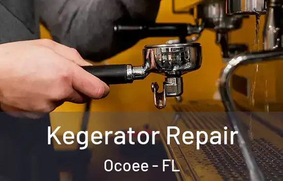  Kegerator Repair Ocoee - FL