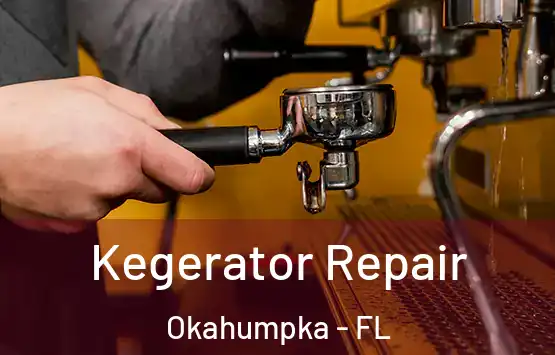  Kegerator Repair Okahumpka - FL