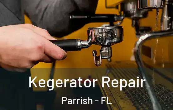  Kegerator Repair Parrish - FL