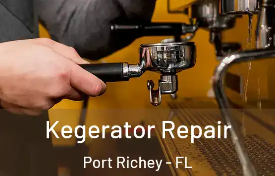  Kegerator Repair Port Richey - FL