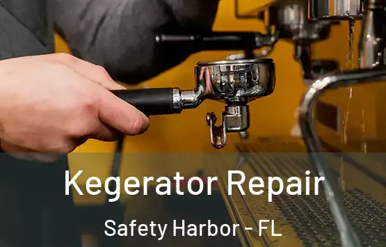  Kegerator Repair Safety Harbor - FL