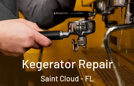  Kegerator Repair Saint Cloud - FL