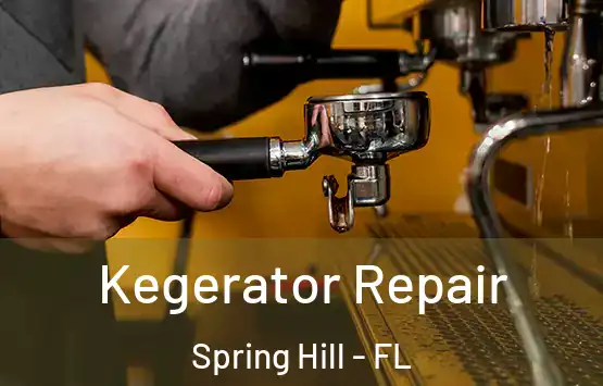  Kegerator Repair Spring Hill - FL