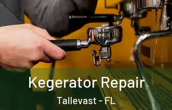  Kegerator Repair Tallevast - FL