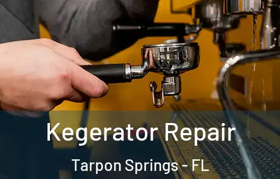  Kegerator Repair Tarpon Springs - FL