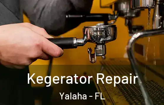  Kegerator Repair Yalaha - FL