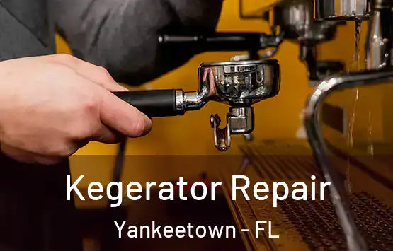  Kegerator Repair Yankeetown - FL