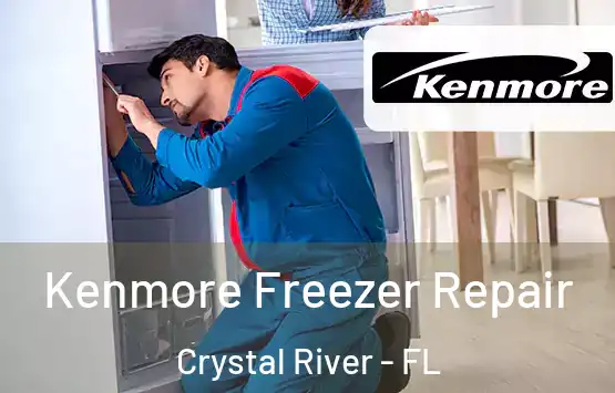  Kenmore Freezer Repair Crystal River - FL