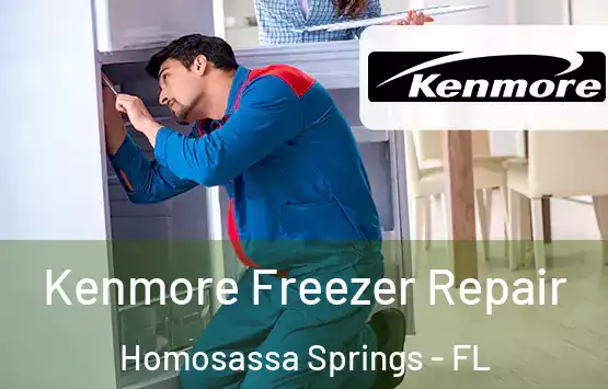  Kenmore Freezer Repair Homosassa Springs - FL