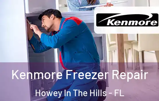  Kenmore Freezer Repair Howey In The Hills - FL