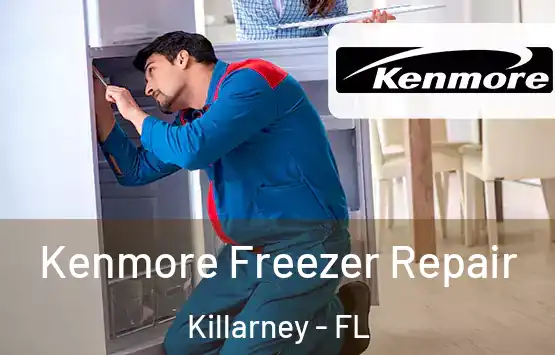  Kenmore Freezer Repair Killarney - FL